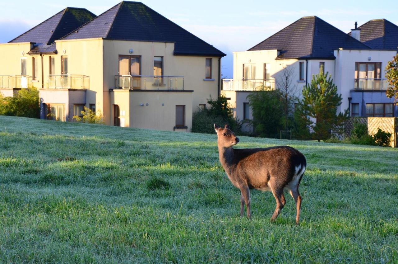 Waterford Castle Hotel & Golf Resort Ballinakill  Exterior foto