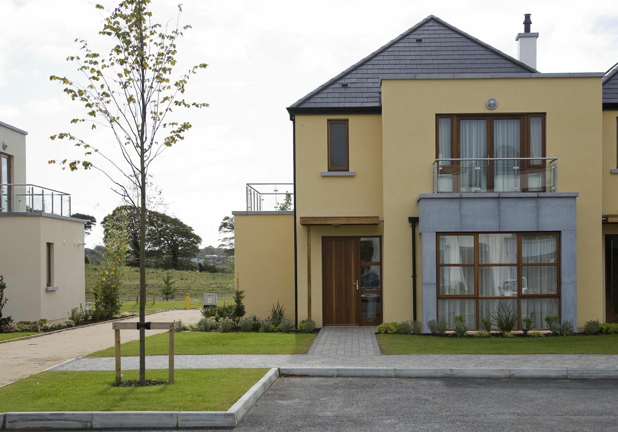 Waterford Castle Hotel & Golf Resort Ballinakill  Exterior foto