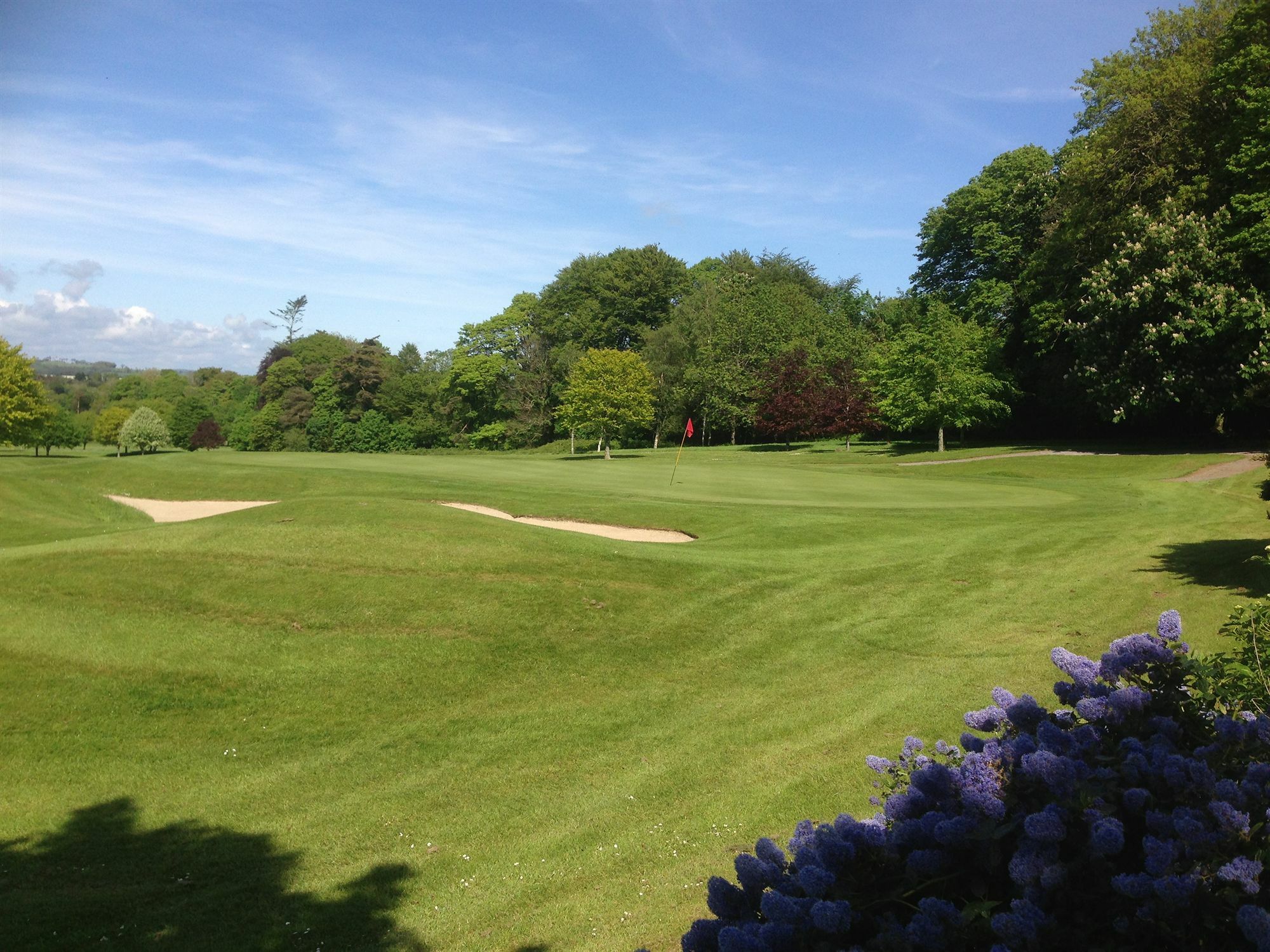 Waterford Castle Hotel & Golf Resort Ballinakill  Exterior foto